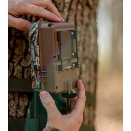 Supporto da Alberi BTCTM Browning