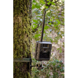 Supporto da Alberi ICU CAM ICUSERVER