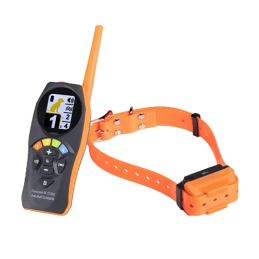 Collare educativo Canicom R-500