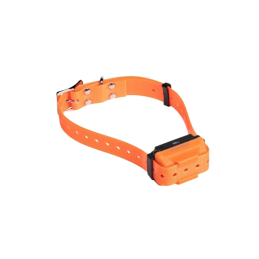 Collare aggiuntivo Canicom R