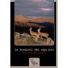 DVD Le stagioni del capriolo