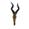 Trofeo art decor Red Hartebeest