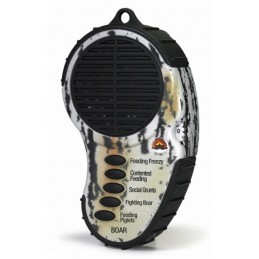 Richiamo elettronico Cass Creek CINGHIALE