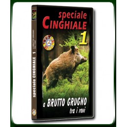 Speciale CINGHIALE 1 - A BRUTTO GRUGNO tra i rovi