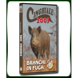 CINGHIALE 2005 BRANCHI IN FUGA