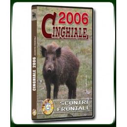 CINGHIALE 2006 SCONTRI FRONTALI