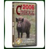 CINGHIALE 2006 SCONTRI FRONTALI
