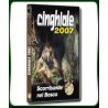 CINGHIALE 2007 Scorribande nel Bosco