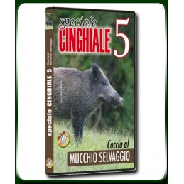 Speciale CINGHIALE 5 Caccia al MUCCHIO SELVAGGIO