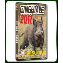 CINGHIALE 2011 senza tregua