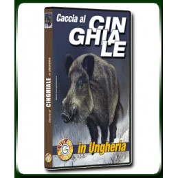 Caccia al CINGHIALE in Ungheria