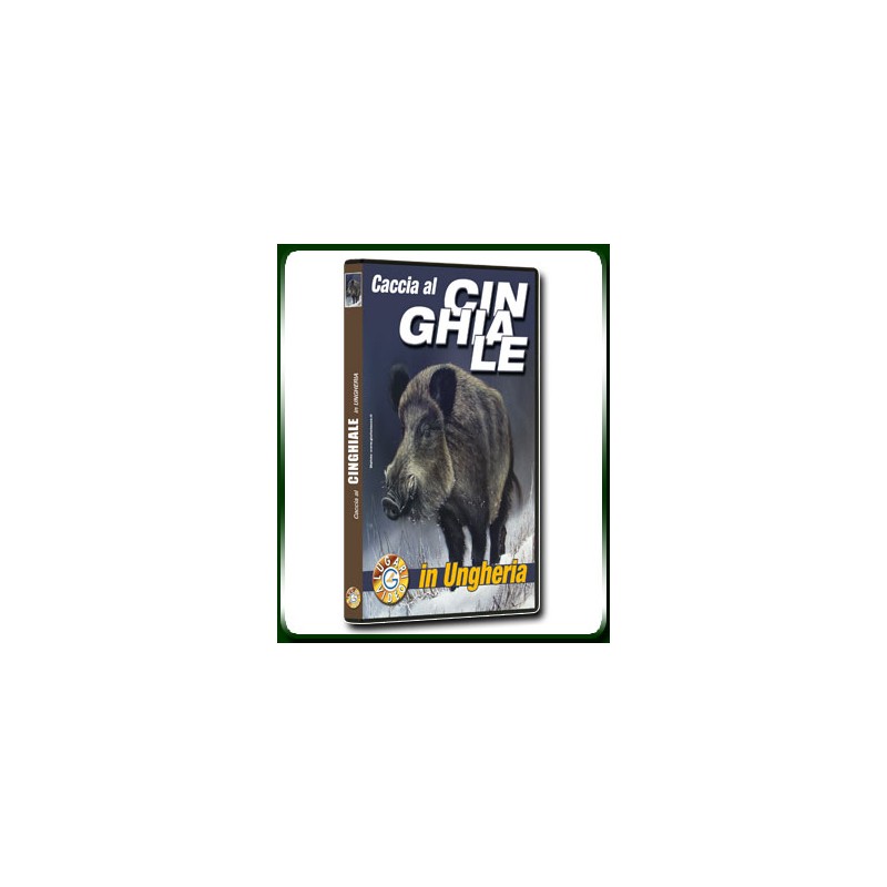 Caccia al CINGHIALE in Ungheria