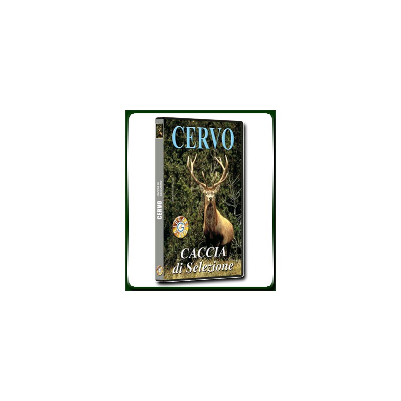 CERVO CACCIA DI SELEZIONE