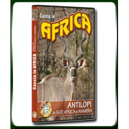 Caccia in AFRICA ANTILOPI in SUD AFRICA e NAMIBIA