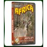 Caccia in AFRICA ANTILOPI in SUD AFRICA e NAMIBIA