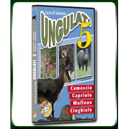 Caccia di Selezione agli UNGULATI 5 CAMOSCIO - CAPRIOLO -