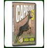 CAPRIOLO 3 CACCIA e NATURA