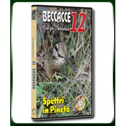 BECCACCE con gli Specialisti 12 SPETTRI IN PINETA