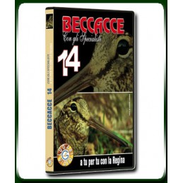 BECCACCE con gli Specialisti 14 A TU PER TU CON LA REGINA