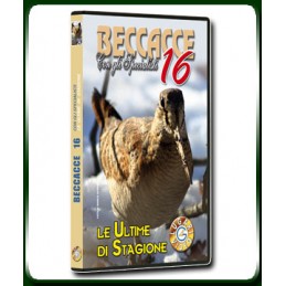 BECCACCE con gli Specialisti 16 LE ULTIME DI STAGIONE