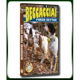 BECCACCIAI FORZA SETTER