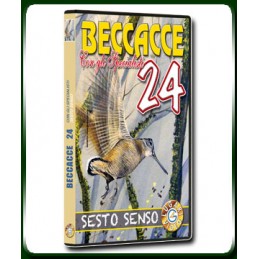 BECCACCE con gli Specialisti 24 SESTO SENSO
