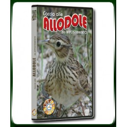 Caccia alle ALLODOLE da appostamento