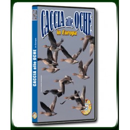 CACCIA alle OCHE in Europa