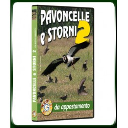 PAVONCELLE e STORNI 2 da appostamento