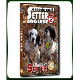 A caccia con il SETTER INGLESE 2 i Magnifici SETTER