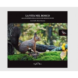 La vita nel bosco