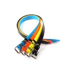 Collare in Polytec larghezza 25 mm Collare in Polytec larghezza 25 mm