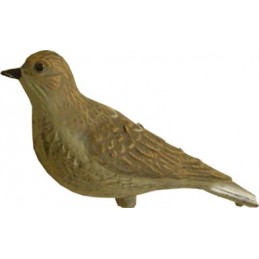 Stampo allodola posata