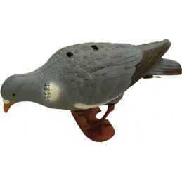 Stampo colombaccio beccante