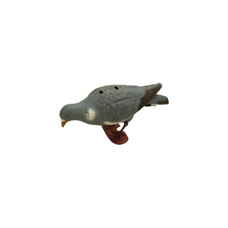 Stampo colombaccio beccante