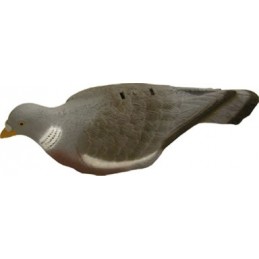 Stampo colombaccio a conchiglia