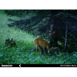 Sale rosa in blocco 2.5 kg