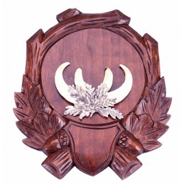 Scudetto per cinghiale inciso