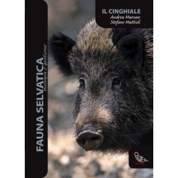 Il cinghiale