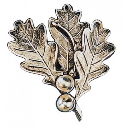 Foglia per trofeo di cinghiale