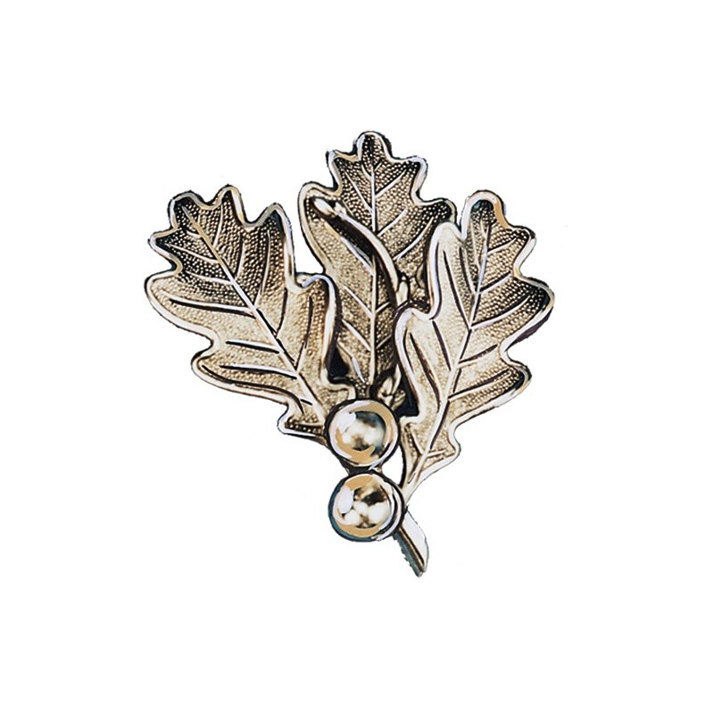 Foglia per trofeo di cinghiale