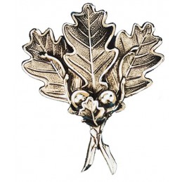 Foglia per trofeo di cinghiale