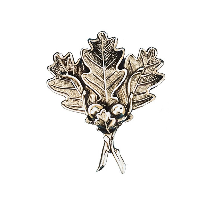 Foglia per trofeo di cinghiale