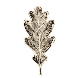 Foglia per trofeo di cinghiale