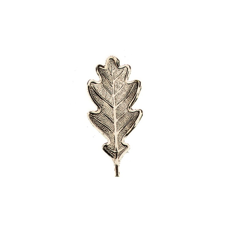 Foglia per trofeo di cinghiale