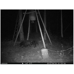 Fototrappola Boskon Guard BG 520 MMS