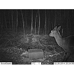 Trophy Blocco 25 kg Trophy Blocco 25 kg