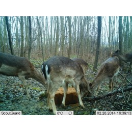 Trophy Blocco 25 kg Trophy Blocco 25 kg