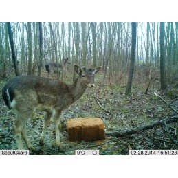 Trophy Blocco 25 kg Trophy Blocco 25 kg