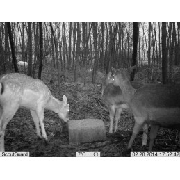 Trophy Blocco 25 kg Trophy Blocco 25 kg